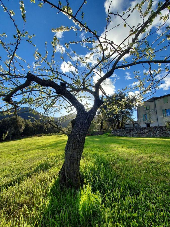 Les Jardins De Falguiere 圣让杜加尔 外观 照片